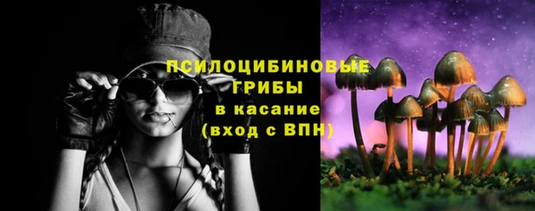 apvp Покров