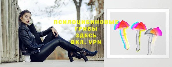 apvp Покров