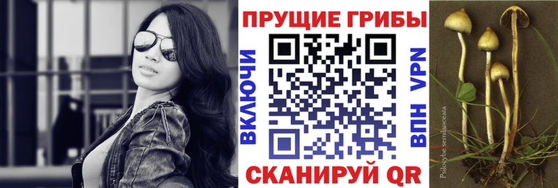 Псилоцибиновые грибы мухоморы Ладушкин